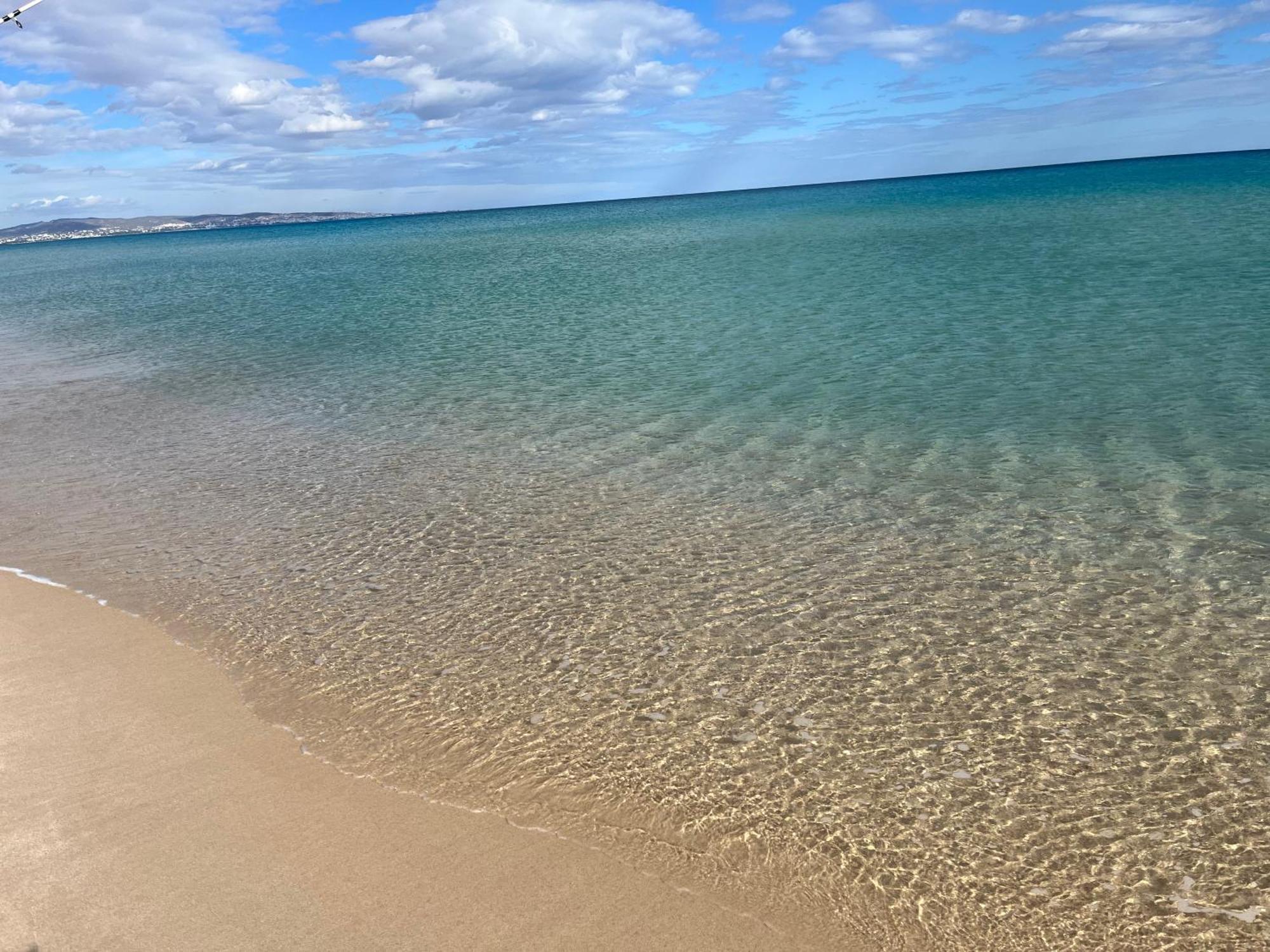 Apt 5Min De La Zone Touristique Lägenhet Hammamet Exteriör bild